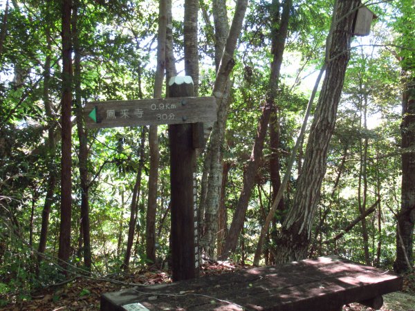 登山道